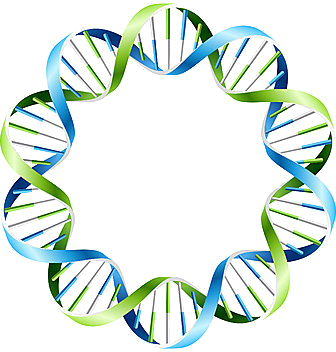 galactosemiafooter2